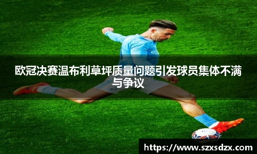 欧冠决赛温布利草坪质量问题引发球员集体不满与争议